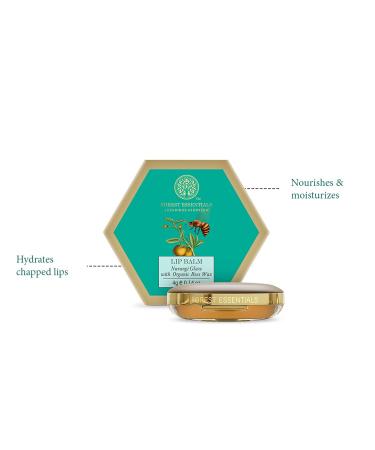 Buy Forest Essentials Luscious Lip Balm Narangi Glaze 4g - Hydrating Natural Lip Care for Soft Lips - Buy Online on SooperMarket.com