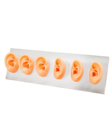 6 Pcs Silicone Ear Model Set for Hearing Aids with Acrylic Display Board - Buy Online on SooperMarket.com