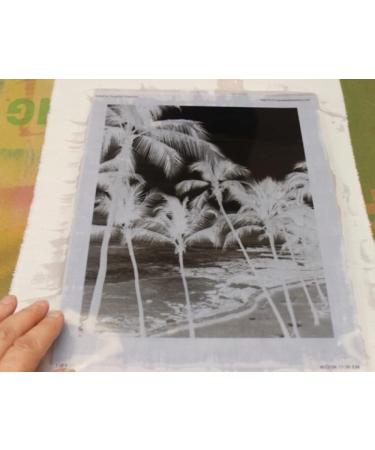 Jacquard Solarfast Starter Kit - Sun-Powered Fabric Printing Solution - Buy Online on SooperMarket.com