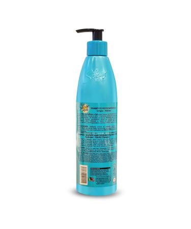Silicon Mix Sulfate Free Shampoo for Natural Hair | Rizos Naturales | Best Curly & Afro Hair Care | 16 oz - Buy Online on SooperMarket.com