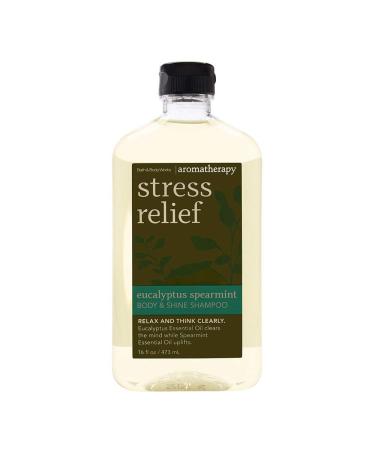 Bath & Body Works Stress Relief Eucalyptus Spearmint Body & Shine Shampoo 16 Fl Oz