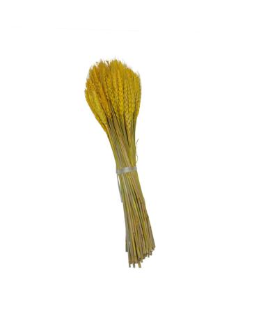 Artibetter 1 Decor Dried Wheat Natural Wheat Dried Flowers Simulation Wheat Rural Wheat Ears of Wheat Flower Basket Golden 15*42cm