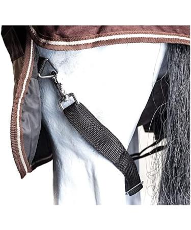 Buy RL24 Weiddecke Winterdecke High Neck 600D BASICLINE - Durable Brown/Beige 100g 200g 300g Options for 85cm Horses International Shipping Available - Buy Online on SooperMarket.com