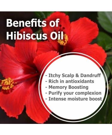 Hibiscus Sabdariffa L Essential Oil 50ML - 100% Pure Uncut Cold Pressed Premium Aromatherapy Oil - Buy Online on SooperMarket.com