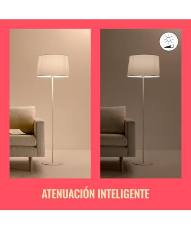 WiZ Connected Color 60W BR30 Smart WiFi Light Bulb  16 Million Colors  Compatible with Alexa and Google Home Assistant  No Hub Required  1 Bulb BR30 Color 1 Count (Pack of 1) - Buy Online on SooperMarket.com