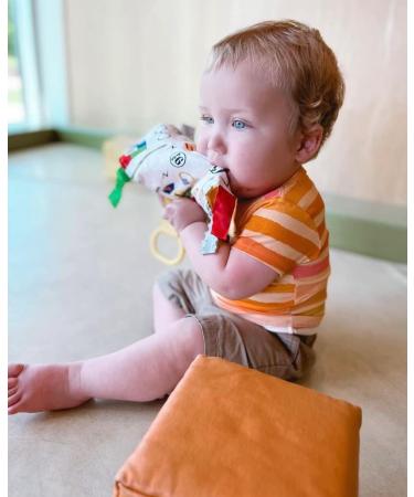 10x10 Wizard Muggle Baby Lovey Gryffen Lion Tag Toy for Babies | House Colors | Learn Wizardry | Soft & Safe Baby Gift | BPA Free - Buy Online on SooperMarket.com