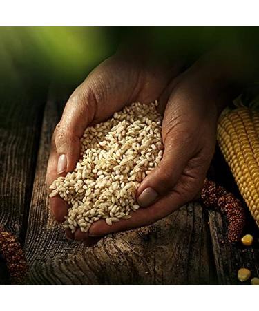 Buy Biozentrale Millet-Corn Rice Cakes - Pack of 12 (100g each) | Healthy Snacks International Shipping - Buy Online on SooperMarket.com