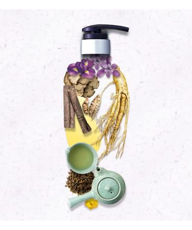 Daeng Gi Meo Ri Jin Gi Vitalizing Set | Nourishing Korean Herbal Hair Care - Shampoo & Treatment for Smooth Shiny Frizz-Free Hair - 100% Domestic Oriental Herb - Buy Online on SooperMarket.com