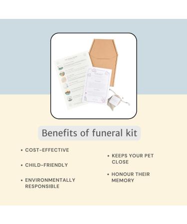 The Pet Rainbow | Small Animal Funeral Kit with Pet Coffin & Casket | For Hamsters, Guinea Pigs, Birds, Gerbils, Reptiles, Fish | Cardboard Coffins | Up to 6kg | 275mm x 150mm x 100mm - Buy Online on SooperMarket.com