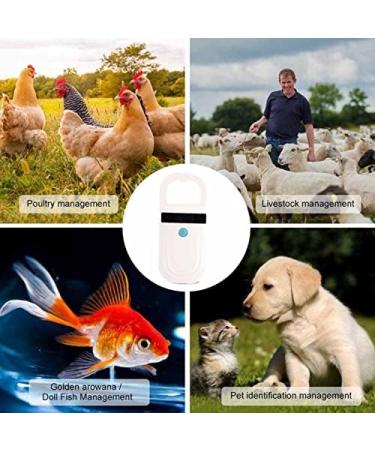 Mini Microchip Pet Tag Scanner - USB Rechargeable Animal Chip ID Reader with OLED Display - Supports FDX-B and EMID - ISO11784/85 - Buy Online on SooperMarket.com