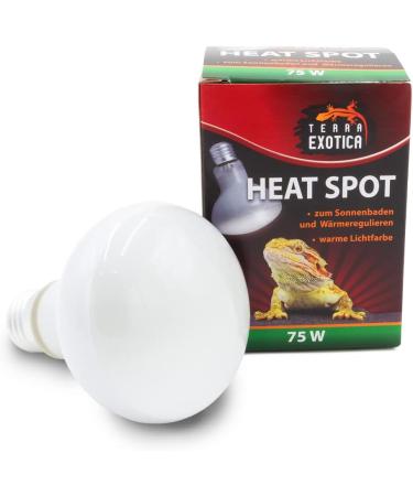 Terra Exotica 75W Heat Spot Bulb for Reptiles - 3 Pack Terrarium Lighting - Optimal Heat for Reptile Habitats - 25W 40W 60W 100W 150W Options Available - Buy Online on SooperMarket.com