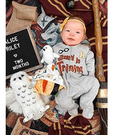 Baby Jack & Co Wizard Lovey Owl Tag Toy for Babies - House Colors - Soft & Safe - Ideal Baby Toy & Muggle Gift - Buy Online on SooperMarket.com
