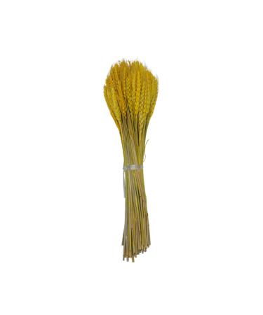 Zerodeko Natural Wheat 1 Decor Simulation Wheat Dried Wheat Rural Wheat Dried Flowers Natural Decorative Wheat