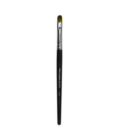 Cinema Secrets E23 Flat Filbert Eyeshadow Brush