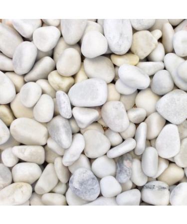 allpondsolutions Natural Color Aquarium Stones Pebbles Substrate Gravel 5KG (1-2cm (5KG) XF10201A)