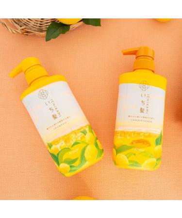 ICHIKAMI Hime YUZI Shampoo & Conditioner Set - Limited Edition Pomelo Orange Scent - Buy Online on SooperMarket.com