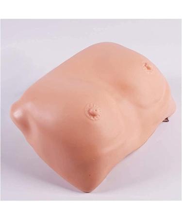 Portable Female Breast Review Template Natural and Realistic Style Chest Template Used for Medical Students to Practice Verification - Buy Online on SooperMarket.com