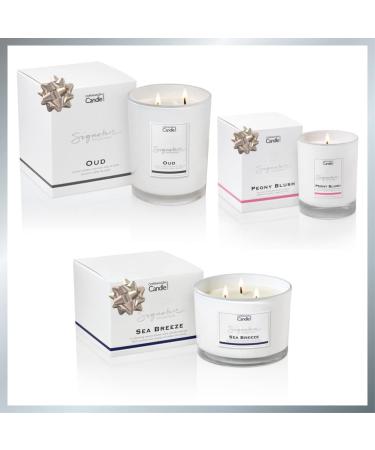 Luxury Pomegranate Scented Candle | Hotel Collection | 45 Hours Burn Time | The Copenhagen Company - Buy Online on SooperMarket.com