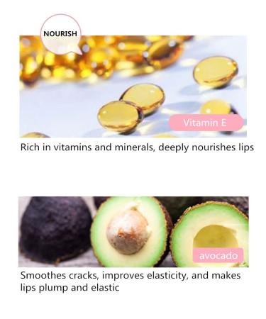 Avocado Lip Balm with Vitamin E | Moisturizing & Nourishing | Reduce Fine Lines | Long-Lasting Protection - Buy Online on SooperMarket.com