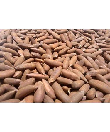 Pine Nuts with Shell 500gms Chilgoza Dry Fruit Chilgoza Pine Nuts