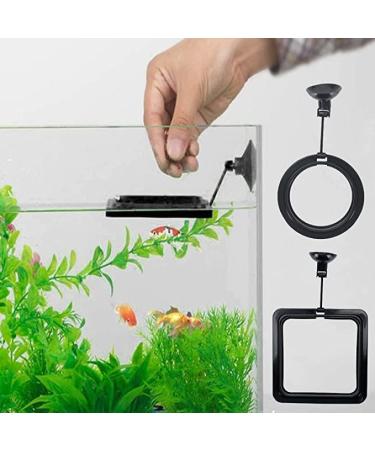 Taicols 2 Pack Feeding Ring Aquarium and Tank Floating Feeder Ring for Goldfish and Other Smaller Fish Aquarium Feeder Feeding A Aquarium Square Round Fish Food Feeders with Suction Cupquarium Fish - Buy Online on SooperMarket.com