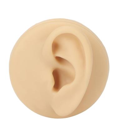 Human Ear Model Left Ear Soft Lifelike Fake Ear Model for Teaching Demonstration - Buy Online on SooperMarket.com