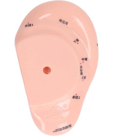 6.7 inch Silicone Ear Acupuncture Model - Ideal for Acupoint Learning & Home Care - Buy Online on SooperMarket.com