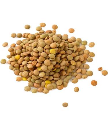 Organic Green Lentils 500g by Manor Springs Organic - Buy Online on SooperMarket.com