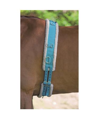 Shires Equestrian Nylon Lunging Roller with Fleece Padding X-Full Blue