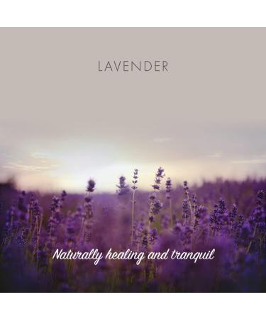 Friendly Soap Handmade Natural Lavender Soap - Relaxing Indulgent Exfoliating 95g - Buy Online on SooperMarket.com