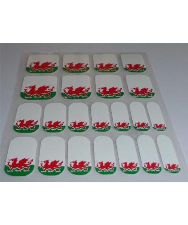 Welsh Flag Nail Wraps - Green White Red Dragon Vinyl Foils | Chix Nails - Buy Online on SooperMarket.com