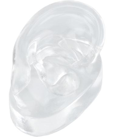 High-Quality Silicone Human Right Ear Model for Ear Sewing Practice - Waterproof Transparent Large Base - Buy Online on SooperMarket.com
