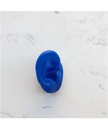 (A Pair) Silicone Ear Model Soft - Ear Model - Flexible Earmold Ear Displays for Acupuncture Audio Music Recording Education (Blue) Blue - Buy Online on SooperMarket.com
