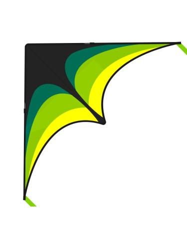 Mint's Colorful Life Delta Kite for Kids & Adults, Extremely Easy to Fly Kite, Best Kite for Beginner Black Green