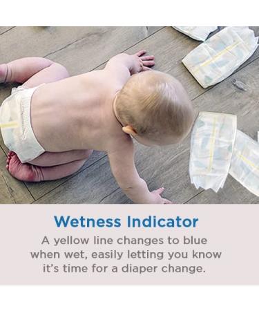 Mama Bear Plush Protection Size 3 Diapers - Hypoallergenic & Ultra-Soft, Dermatologist Tested, 40 Count - For 16-28 lb Babies - Buy Online on SooperMarket.com