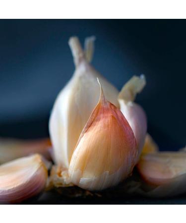 Olio Luglio - Garlic Olive Oil (250 ml) | Extra Virgin Olive Oil | Garlic Essence | Cold Pressed | Glass Bottle (250 ml) C. Garlic Essence - 250ml - Buy Online on SooperMarket.com