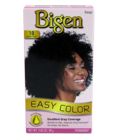 Bigen Easy Color Permanent Hair Dye with Aloe & Olive Oil - Intense Black 2.82 Oz | International Shipping Available - Buy Online on SooperMarket.com