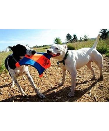 Chuckit! Flying Squirrel Dog Toy Medium - Interactive Floating Disc Frisbee for Tossing and Fetch - Buy Online on SooperMarket.com
