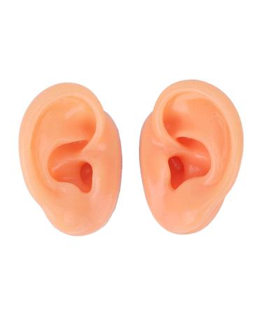 Waterproof Simulated Teaching Ear Model for Doctors - Long Lasting Artificial Ear - Buy Online on SooperMarket.com