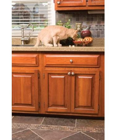 PetSafe Pawz Away Spray Deterrent - Effective Pet Training Tool - Buy Online on SooperMarket.com