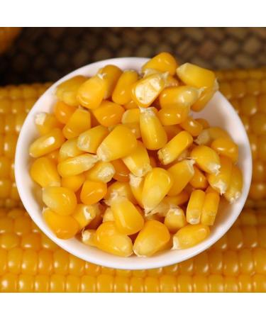 Delicious yellow glutinous corn stick sweet corn fresh corn vegetable snacks nutritious breakfast Coarse grains cereal Dim sum dessert sweets Chinese snack gift pack convenience food (8 bags) - Buy Online on SooperMarket.com