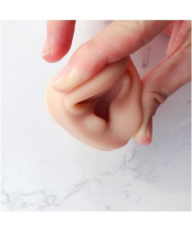 Soft Silicone Ear Sale for Teaching - Silicone Ear Template for Acupuncture - Simulation Silicone Ear Template for Practice - Buy Online on SooperMarket.com