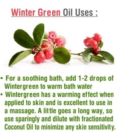 Crysalis Wintergreen (Gaultheria Procumbens) Oil |100% Pure & Natural Undiluted Essential Oil Organic Standard|for Undiluted Therapeutic Grade |Aromatherapy Oil| for All Skin Types- 30ml with Dropper - Buy Online on SooperMarket.com