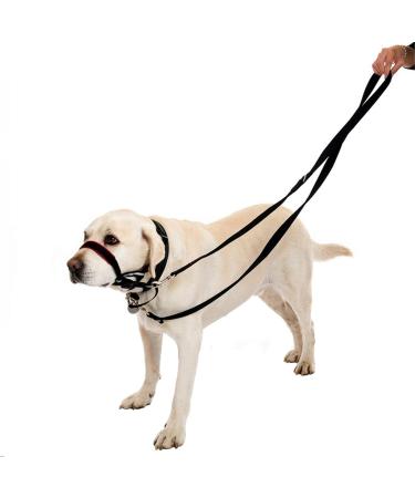 YankMooM 6.9FT Double Ended Dog Training Lead Leash - Multi-Function Rope for Walking, Running, and Training | Black - Buy Online on SooperMarket.com