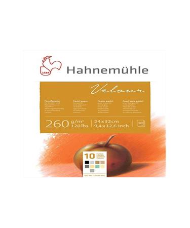 Hahnemuhle Pastel 10 Color Velour Pad 9.25x12.5 Inches 260gsm 10 Sheets