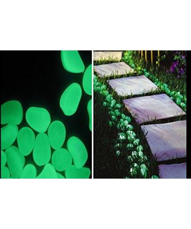 VViViD Green Glow in the Dark Pigment Powder - 30g/1oz Packet - Buy Online on SooperMarket.com