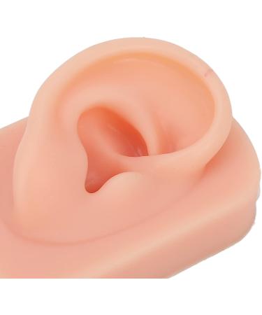 Socobeta Flexible Human Ear Model - Reusable Fake Ear for Acupuncture & Earrings Display (Light Complexion) - Buy Online on SooperMarket.com