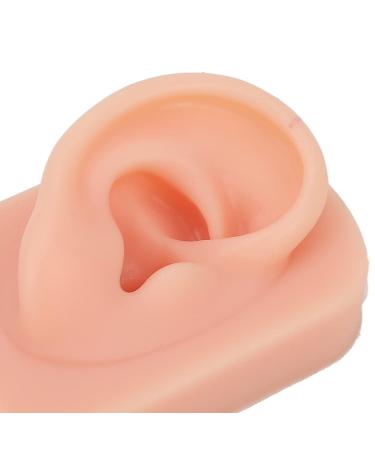 Soft & Flexible Reusable Human Ear Model - Simulated Right Ear for Acupuncture Training - Buy Online on SooperMarket.com