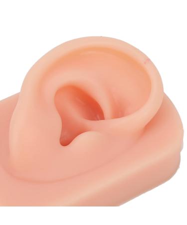 Fallen Ear Model - Soft Silicone Right Ear for Piercing Training & Headphone Display (Light Skin Color) - Reusable & Multi-Purpose - Buy Online on SooperMarket.com