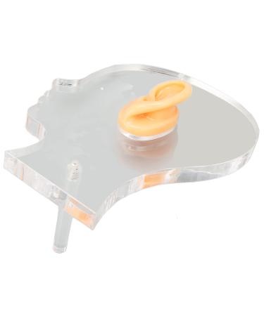Ear Display Mould Professional Flexible Waterproof Soft Fake Ear Model Lifelike for Hospital